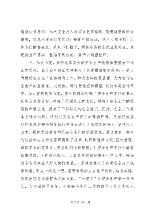 乡镇年度安全生产专项行动工作总结.docx