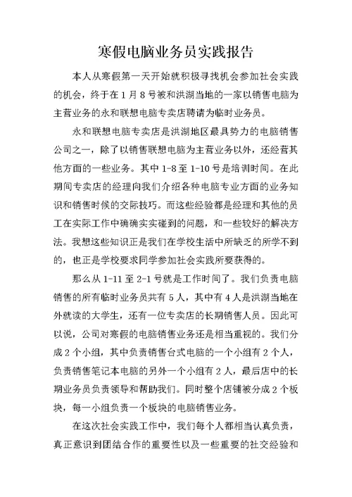 寒假电脑业务员实践报告