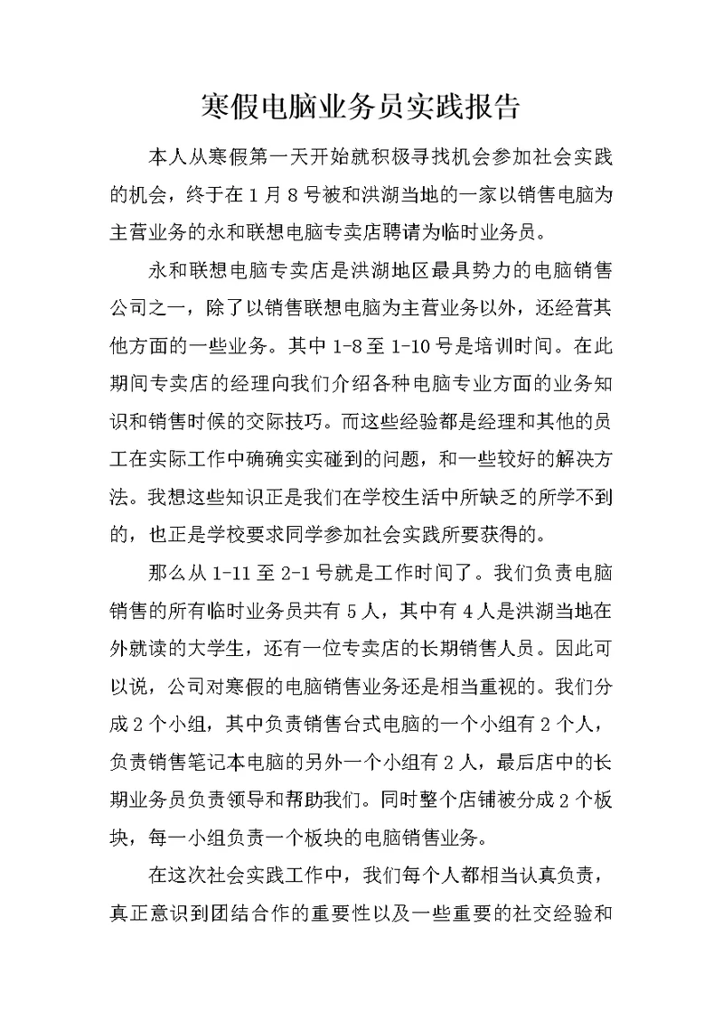 寒假电脑业务员实践报告