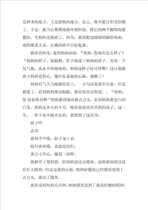 以温暖为话题的作文温暖800字作文