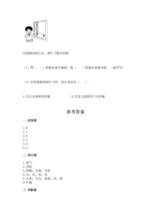 教科版科学一年级上册第一单元《植物》测试卷附参考答案【能力提升】.docx