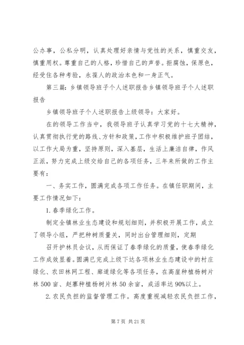 乡镇领导班子个人述职报告.docx