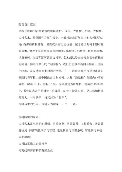 古树木防雷技术方案规范文档.docx