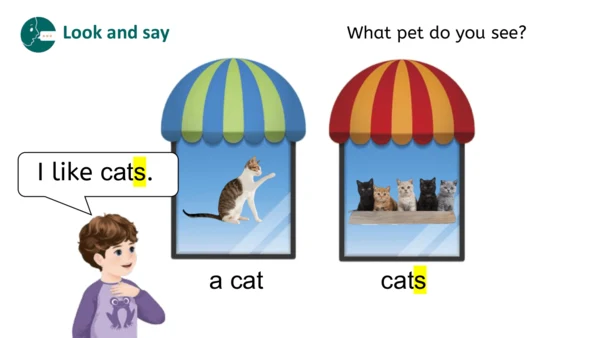 Unit 3 Amazing animals Part A Let's learn（优课）课件（19