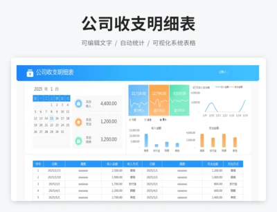 公司收支明细表