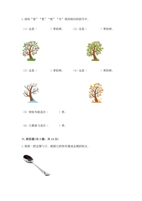 教科版二年级上册科学期末测试卷精品【有一套】.docx