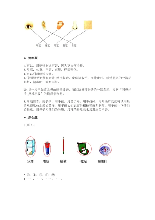 教科版小学科学二年级下册 期末测试卷附参考答案（研优卷）.docx