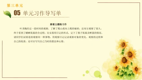 统编版语文四年级上册2024-2025学年度第三单元习作： 写观察日记（课件）