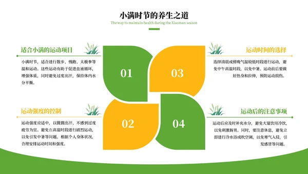 绿色清新风二十四节气之小满PPT模板