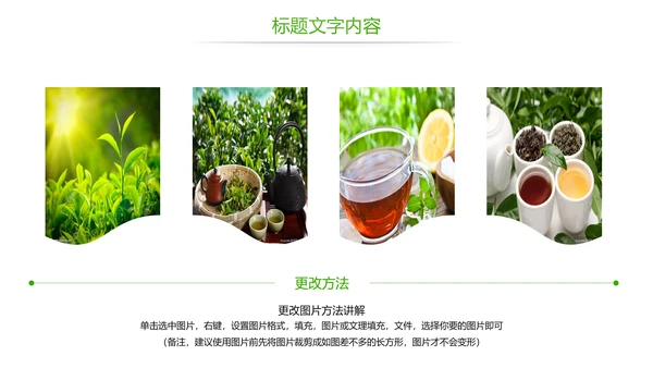 唯美绿色茶园茶文化品茶论道PPT模板