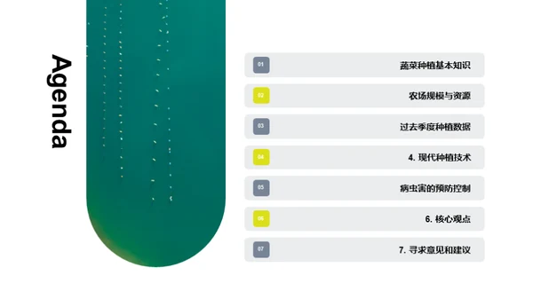 农场种植：现状与未来