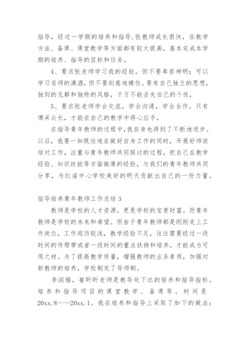 指导培养青年教师工作总结.docx