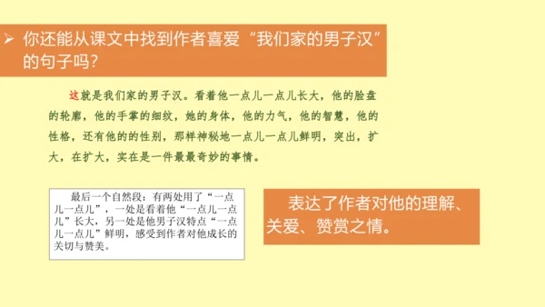 第20课 我们家的男子汉（教学课件）