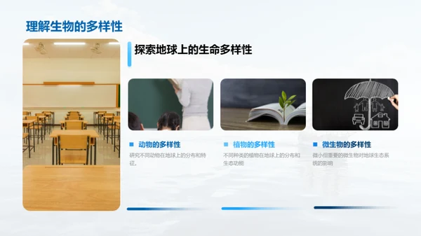 航海之旅
