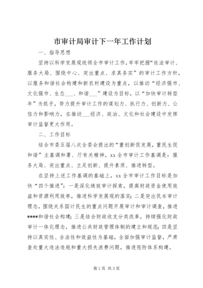 市审计局审计下一年工作计划.docx