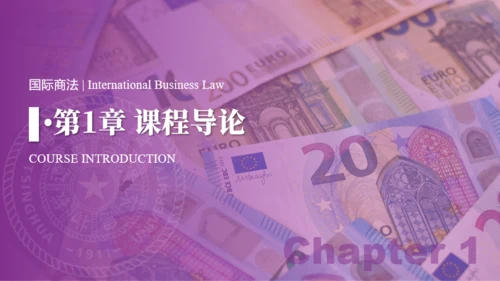 紫色学术风国际商法教学课件