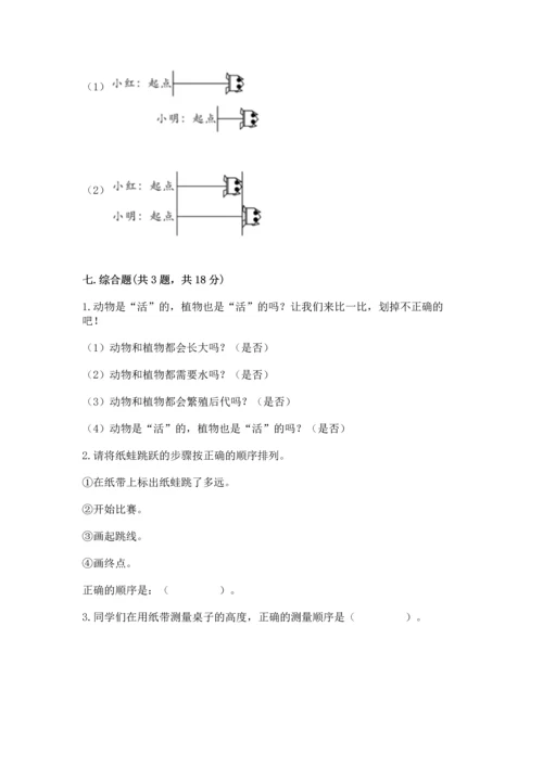 教科版科学一年级上册期末测试卷【满分必刷】.docx