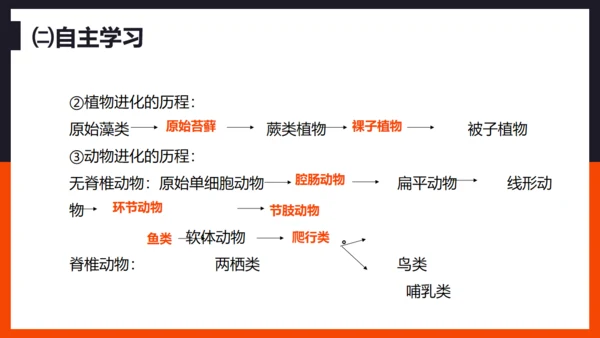 生命起源和生物进化企鹅通用PPT模板