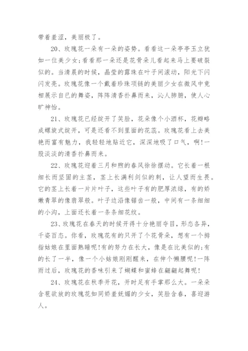 描写玫瑰花的好句好段有哪些.docx