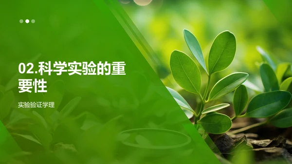 科学观察：植物生长之旅