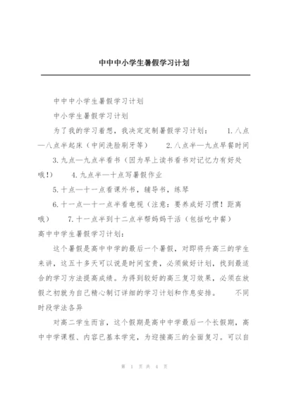 中中中小学生暑假学习计划.docx