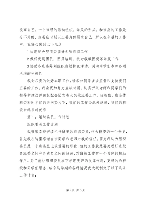 组织委员工作计划 (11).docx