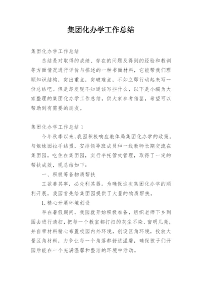 集团化办学工作总结.docx