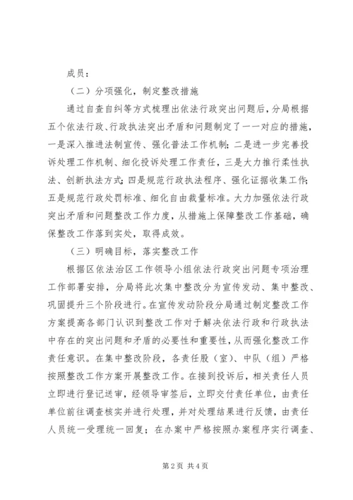 城管分局依法行政承诺整改工作报告.docx