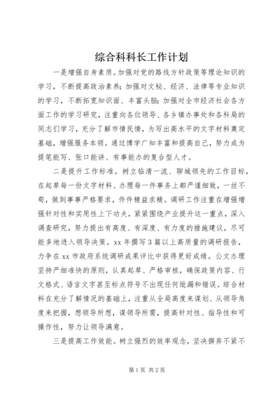 综合科科长工作计划 (2).docx