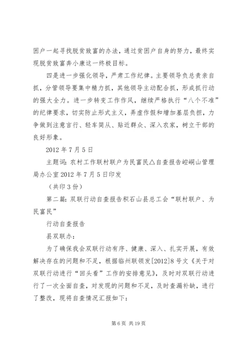双联行动自查报告.docx