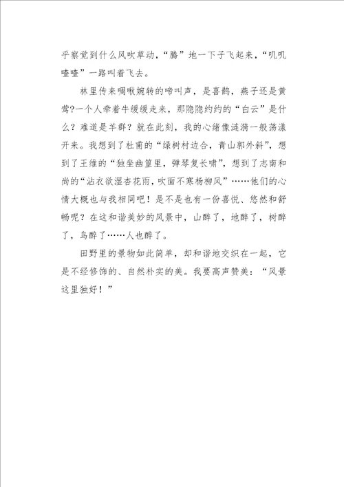 初一作文写景风景这里独好650字