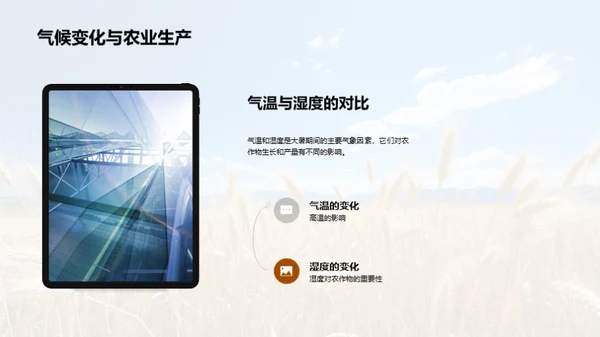 大暑农业应对策略