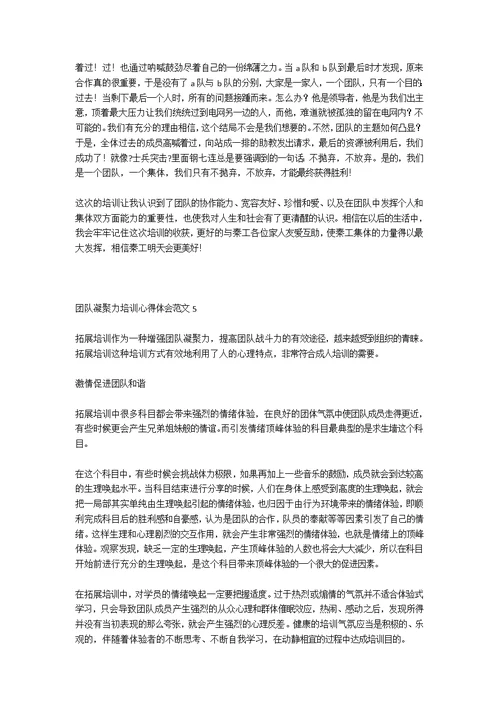 团队凝聚力培训学习心得体会范文