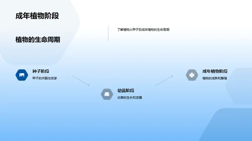 观察和描述植物的生长过程