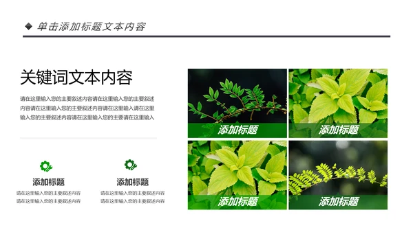 绿色唯美植物生长敬畏生命发芽PPT模板