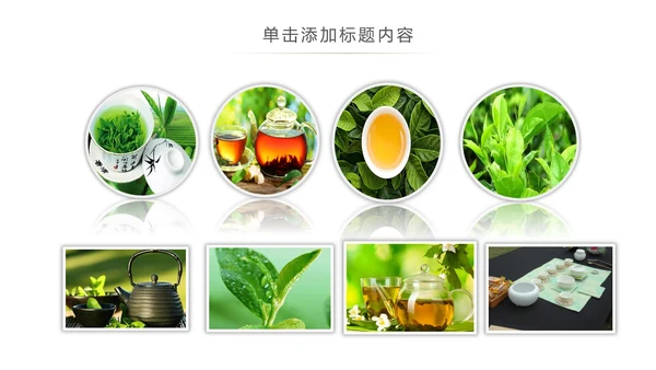 绿茶产品介绍茶叶茶文化春茶紫砂壶PPT