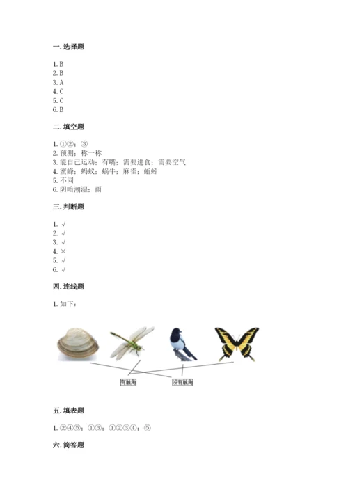 教科版小学科学一年级下册期末测试卷附完整答案【网校专用】.docx