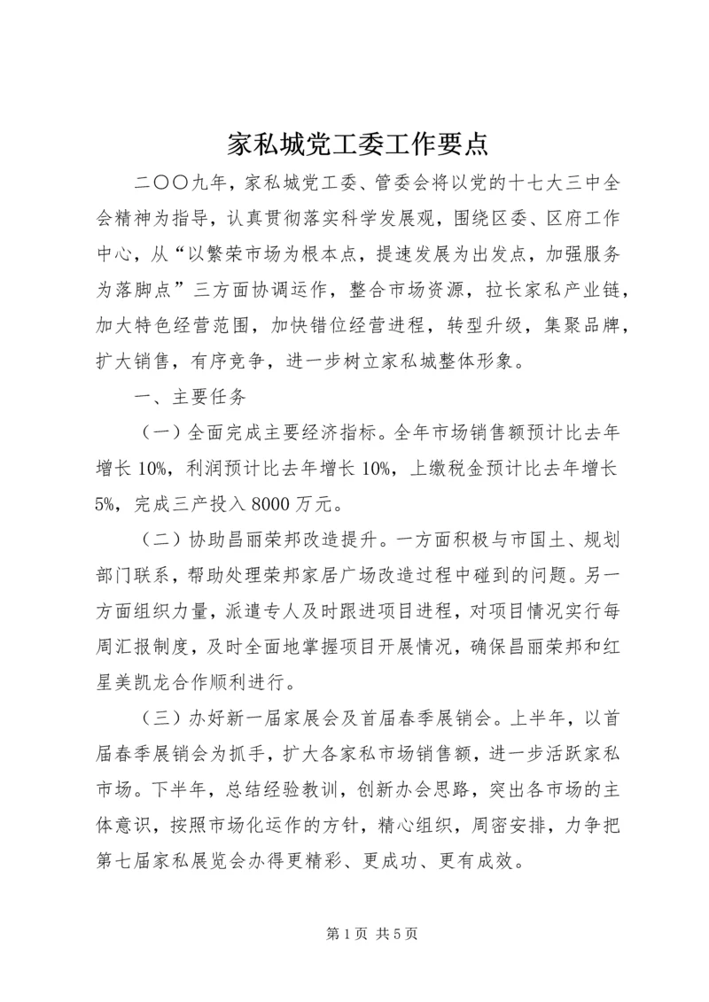 家私城党工委工作要点.docx