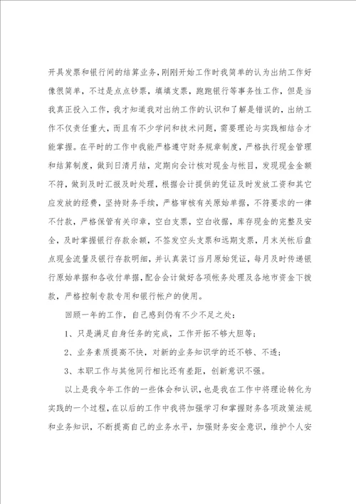 出纳年度考核表个人总结