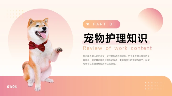 红色简洁创意渐变宠物健康护理PPT模板