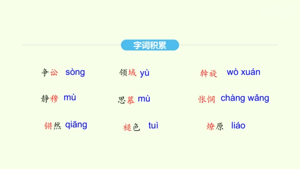 第4课 灯笼 统编版语文八年级下册 同步精品课件