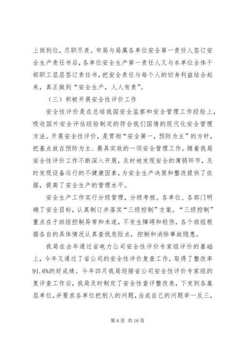 电力局安全保卫工作总结及计划 (2).docx