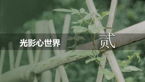 第三元第一课导读