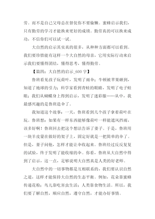 有关大自然启示的作文.docx