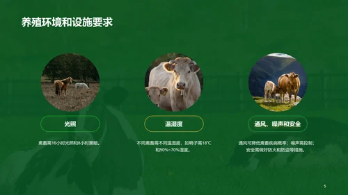 绿色现代养殖流程管理与疾病预防PPT模板