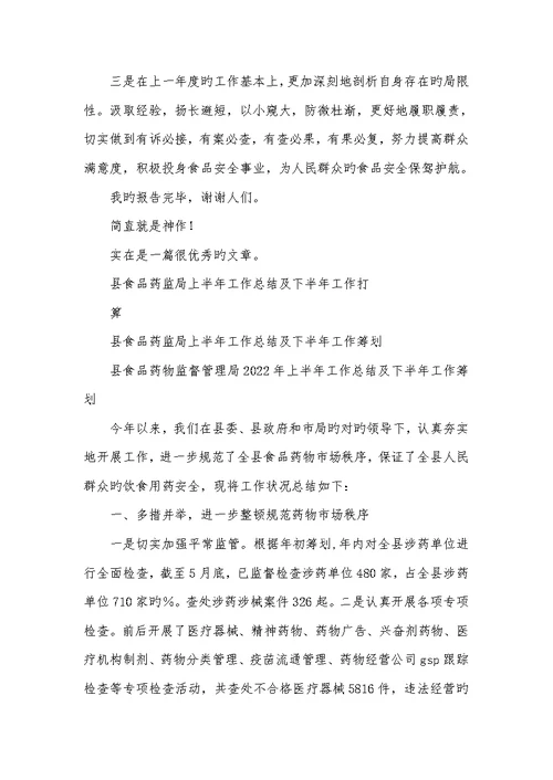 2022年区食药监局食品稽查科工作总结及下阶段工作计划汇报