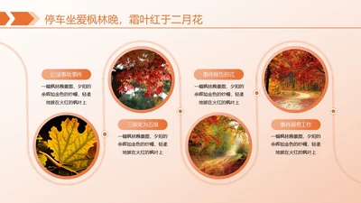 橙色简约风枫叶图文页