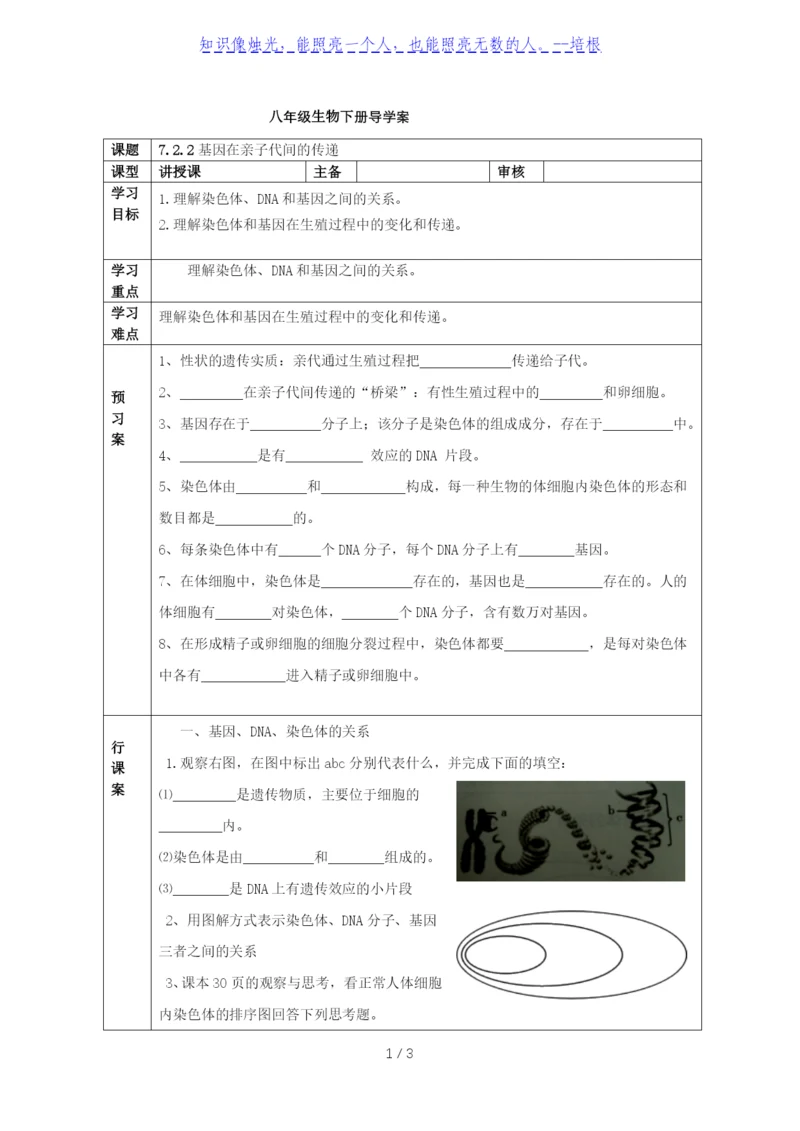 人教版八年级生物下册导学案：7.2.2基因在亲子代间的传递(无答案).docx