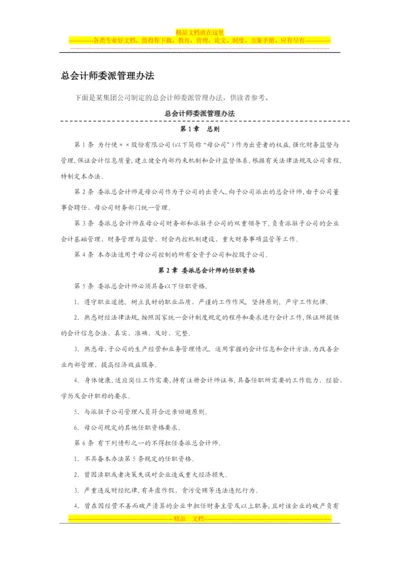 总会计师委派管理办法.docx