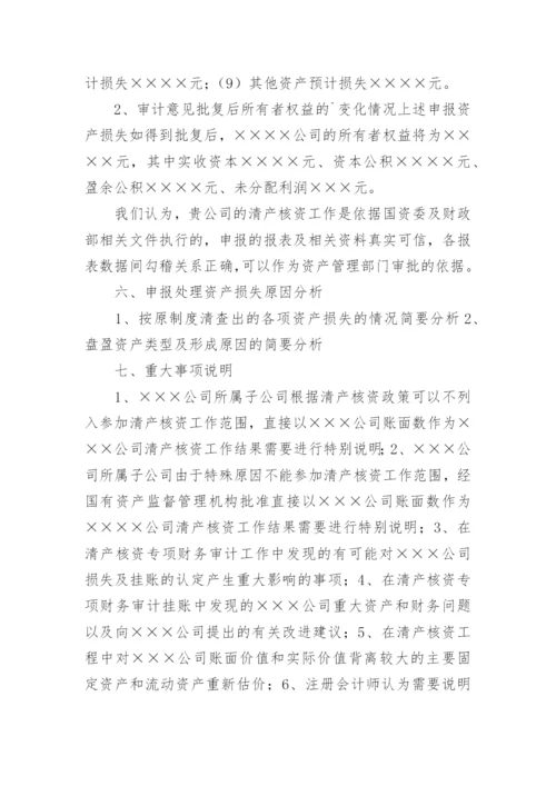 专项审计报告_12.docx